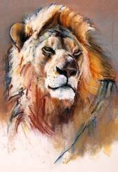 Gemsbok Lion (Mark Adlington) - Muzeo.com