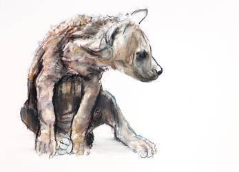 Hyaena Pup (Mark Adlington) - Muzeo.com
