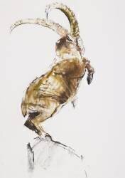 King of the Mountain (Mark Adlington) - Muzeo.com
