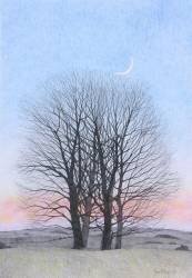 Nouvelle Lune (Ann Brain) - Muzeo.com