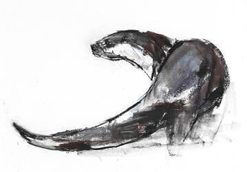 Rudder (Mark Adlington) - Muzeo.com