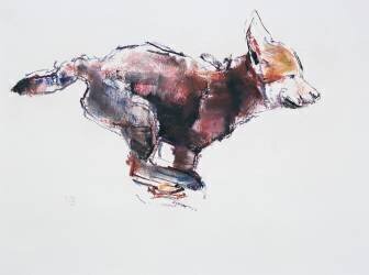 Running wolf pup (Mark Adlington) - Muzeo.com