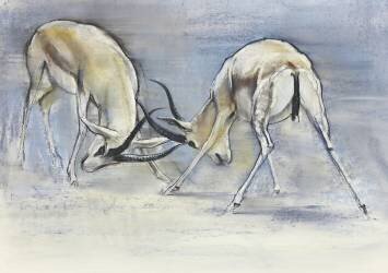 Sand Gazelles (Mark Adlington) - Muzeo.com