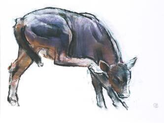 Scratching Calf (Mark Adlington) - Muzeo.com