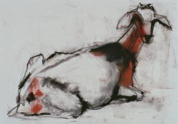 Seated Goat (Mark Adlington) - Muzeo.com