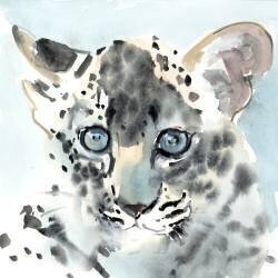 Shy (Mark Adlington) - Muzeo.com