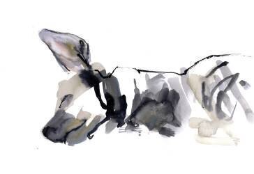 Sleeping Hyaena (Mark Adlington) - Muzeo.com