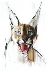Snarl (Mark Adlington) - Muzeo.com