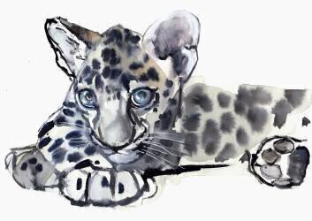 Spotty (Mark Adlington) - Muzeo.com