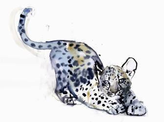 Stretching Cub (Mark Adlington) - Muzeo.com