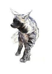 Striped Hyaena Pup (Mark Adlington) - Muzeo.com