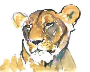The Lioness (Mark Adlington) - Muzeo.com