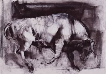 The White Bull (Mark Adlington) - Muzeo.com
