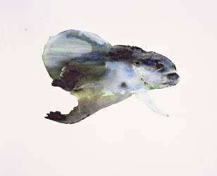 Underwater (Mark Adlington) - Muzeo.com