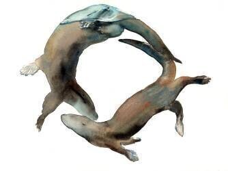 Underwater Ballet (Mark Adlington) - Muzeo.com