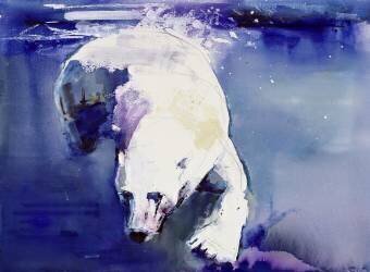 Underwater Bear (Mark Adlington) - Muzeo.com