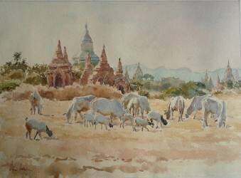 Vers Schwesandaw (Wilson Clive) - Muzeo.com