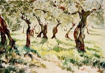 Vieux oliviers (Wilson Clive) - Muzeo.com