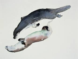 Yin Yang (Mark Adlington) - Muzeo.com