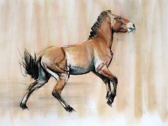 Young Stallion (Mark Adlington) - Muzeo.com