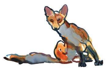 Young Vixen Grooming (Mark Adlington) - Muzeo.com