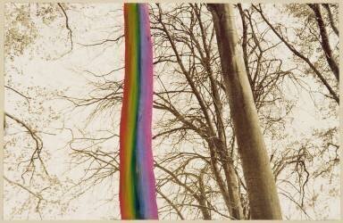 Arbres et trainée d'arc en ciel, 1935 (Humphrey Jennings) - Muzeo.com