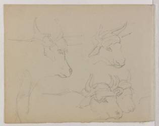 Etude de boeufs et d'un bouvier (Edgar Degas) - Muzeo.com