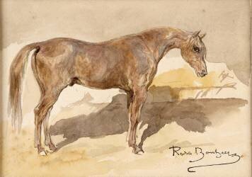 Etude de cheval alezan (Rosa Bonheur) - Muzeo.com