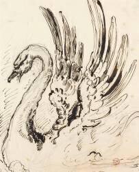 Etude de cygne pour Léda (Gustave Moreau) - Muzeo.com