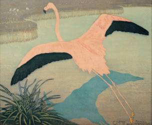 Flamant rose (Carl Moser) - Muzeo.com