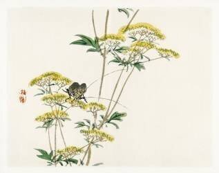 Fleur de flanelle (Kono Barei) - Muzeo.com