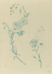 Fleurs de lin (Emile Gallé) - Muzeo.com