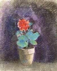 Géranium (Odilon Redon) - Muzeo.com