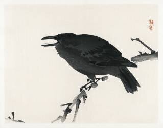 Le corbeau (Kono Barei) - Muzeo.com