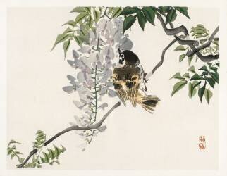 Moineau (Kono Barei) - Muzeo.com