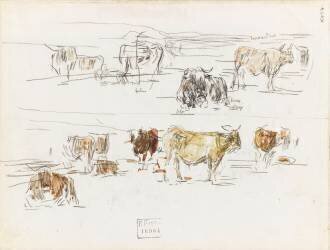 Neuf études de vaches debout ou couchées (Eugène Boudin) - Muzeo.com