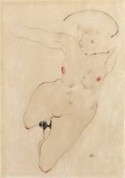 Nu Féminin (Egon Schiele) - Muzeo.com