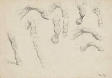 Onze études de jambes de cheval (Rosa Bonheur) - Muzeo.com