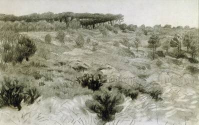 Paysage (Félix Vallotton) - Muzeo.com