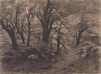 Paysage fantastique : arbres morts et nuit étoilée (Gaston Redon) - Muzeo.com