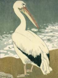 Pelican (Carl Moser) - Muzeo.com