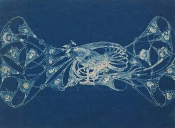 Plaque de cou paon Lalique (Pierre-Georges Deraisme) - Muzeo.com