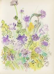 Pour un herbier, Colette (Raoul Dufy) - Muzeo.com
