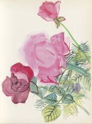 Roses, Pour un herbier, Colette (Raoul Dufy) - Muzeo.com
