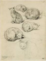 Album factice : Etudes de six chats (Augustin de Saint-Aubin) - Muzeo.com