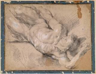 Etude d'un homme nu renversé (Pierre Paul Rubens) - Muzeo.com