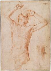 Homme nu assis vu de face jusqu'aux genoux la tête levée et jouant de la flûte de Pan (Bronzino) - Muzeo.com
