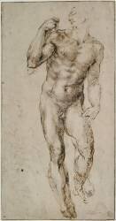 Homme, nu debout (Michelangelo Buonarroti) - Muzeo.com