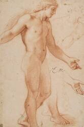 Homme nu debout (Charles Le Brun) - Muzeo.com