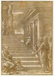 Présentation de la Vierge au Temple (Raphaël) - Muzeo.com